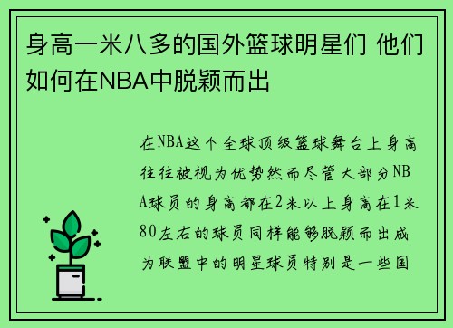 身高一米八多的国外篮球明星们 他们如何在NBA中脱颖而出